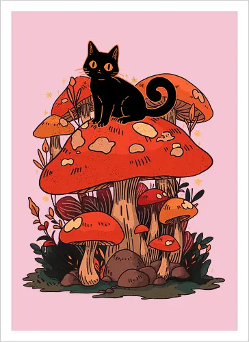 Feline Fungi