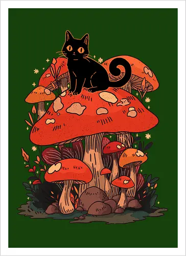 Feline Fungi