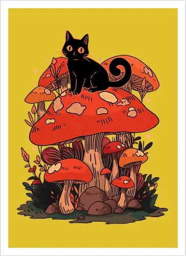 Feline Fungi