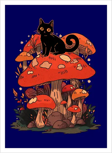 Feline Fungi
