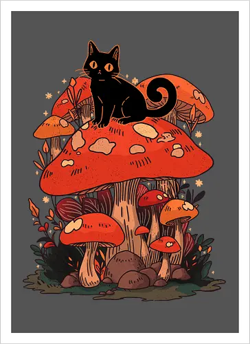 Feline Fungi