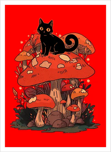 Feline Fungi