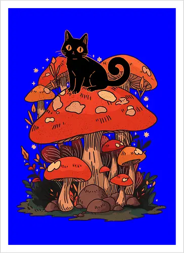 Feline Fungi