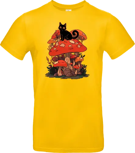 Feline Fungi