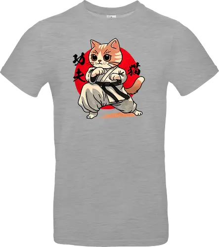 Kung fu cat