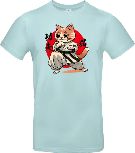 Kung fu cat