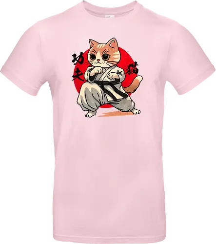 Kung fu cat