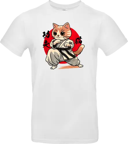 Kung fu cat