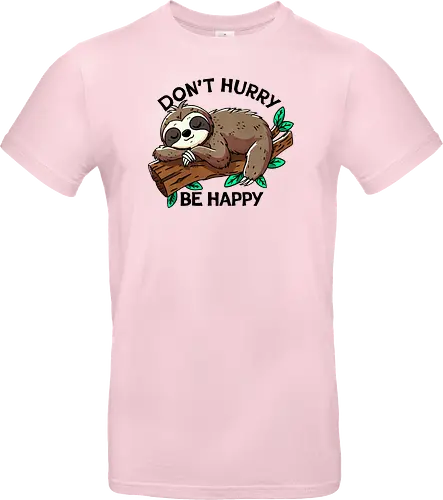 Don't hurry be happy sloth