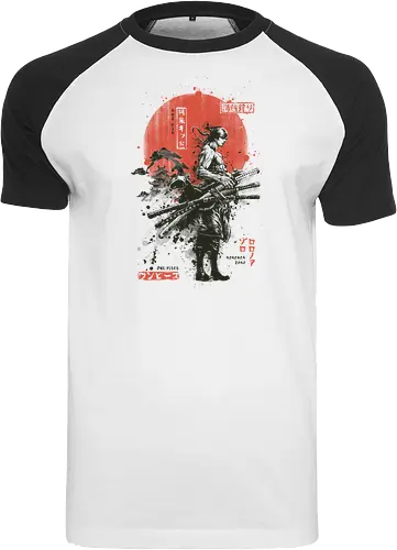 Pirates Hunter Zoro