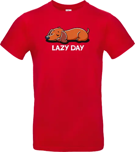Lazy day