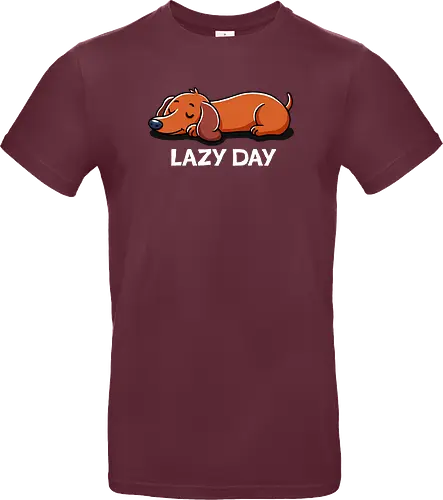 Lazy day