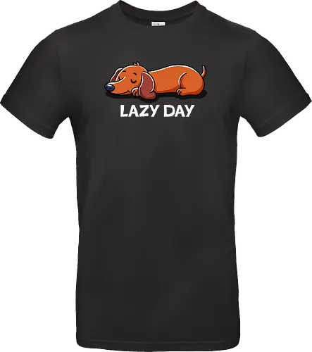 Lazy day