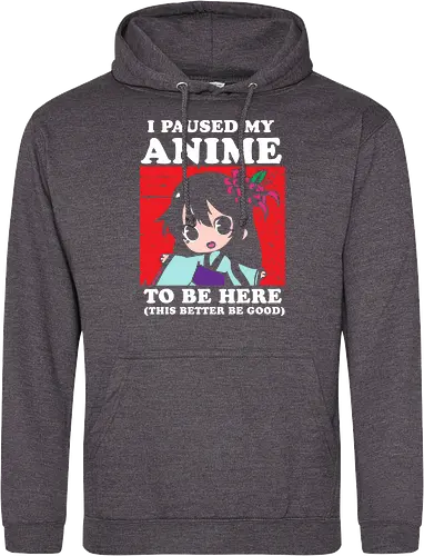 I paused my anime