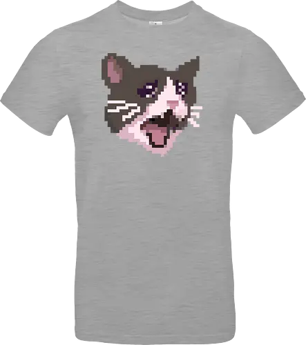 Pixel Angry Cat