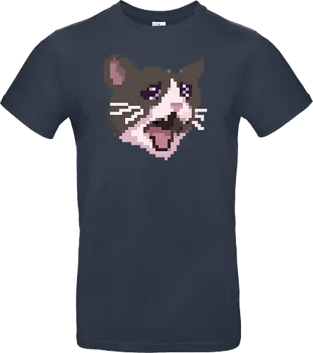 Pixel Angry Cat