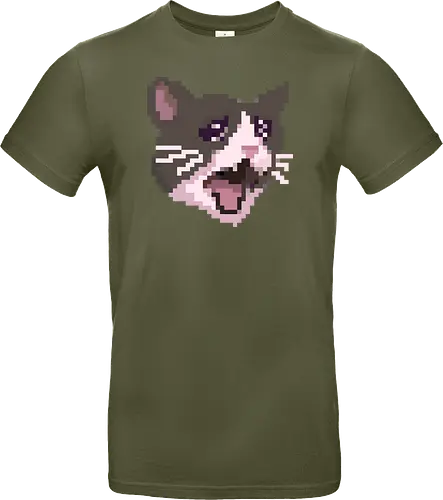 Pixel Angry Cat