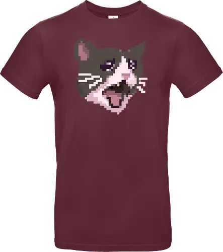 Pixel Angry Cat