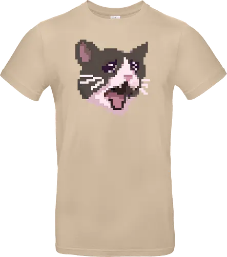 Pixel Angry Cat