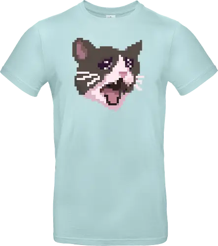 Pixel Angry Cat