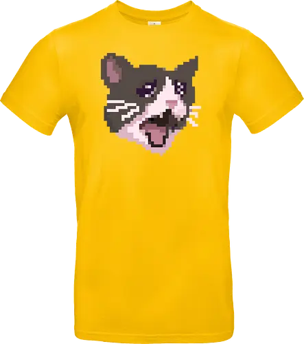 Pixel Angry Cat