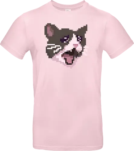 Pixel Angry Cat