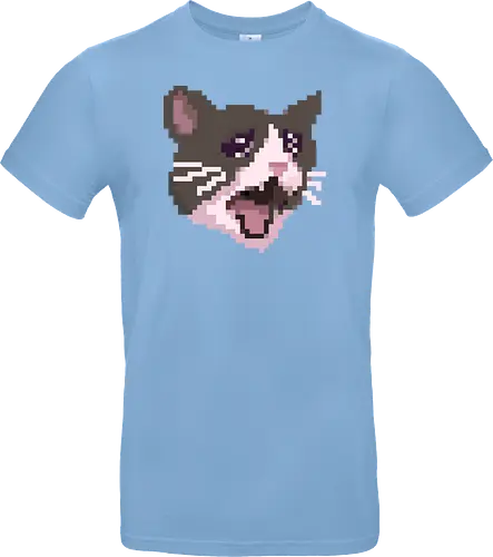 Pixel Angry Cat
