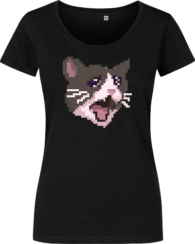 Pixel Angry Cat