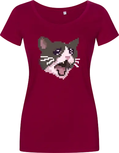 Pixel Angry Cat
