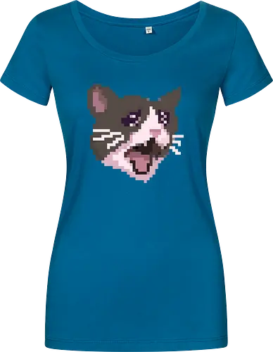 Pixel Angry Cat