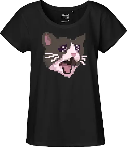 Pixel Angry Cat