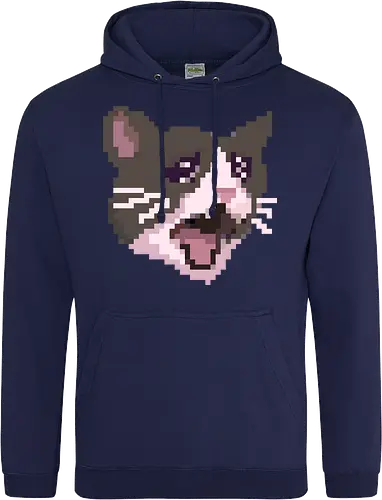 Pixel Angry Cat