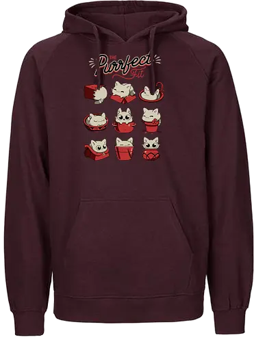 The Purrfect Fit - cat, Boxes, If it fits, I sits, Vases - Fairtrade Hoodie