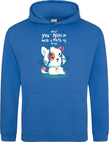 Your opinon means nothing