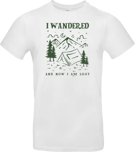 I Wandered, And Now I Am Lost