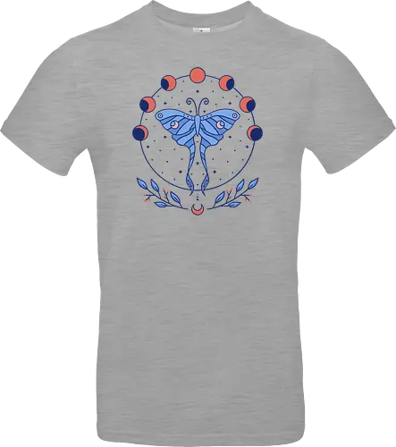Luna Moth & Moon Phases