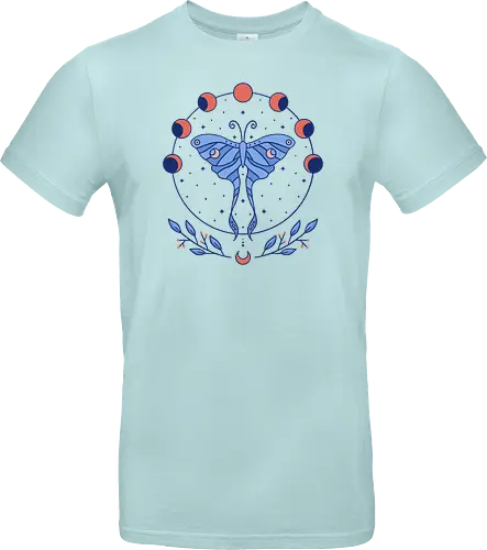 Luna Moth & Moon Phases