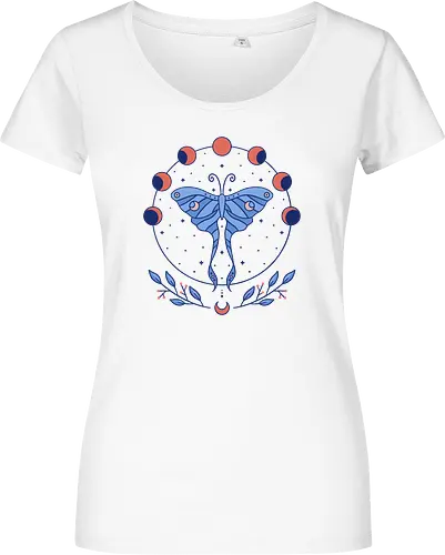 Luna Moth & Moon Phases