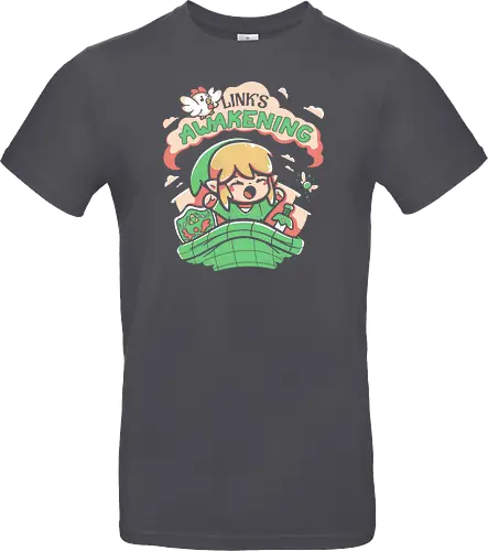 Hero of Time's Awakening
