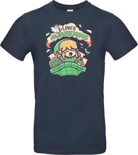 Hero of Time's Awakening