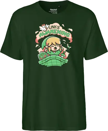 Hero of Time's Awakening