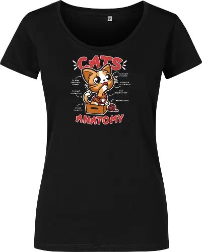 Cats Anatomy