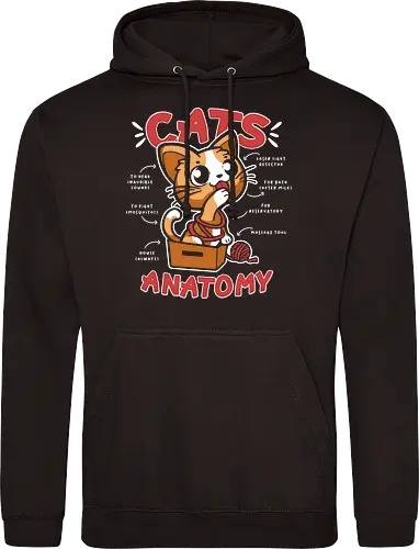 Cats Anatomy