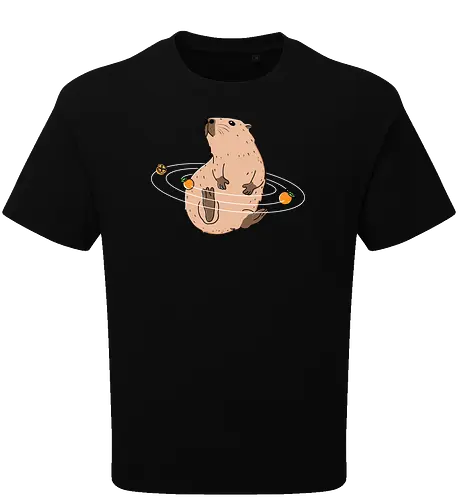 Capy Solar System
