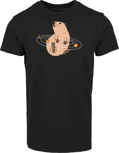 Capy Solar System