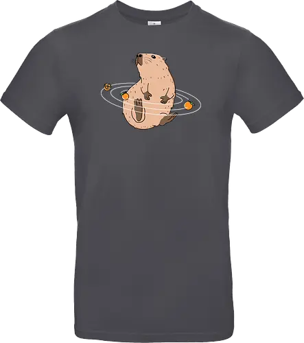 Capy Solar System