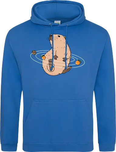 Capy Solar System