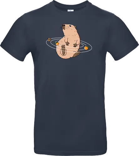 Capy Solar System