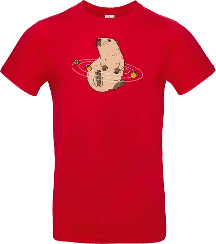 Capy Solar System