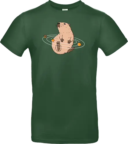 Capy Solar System